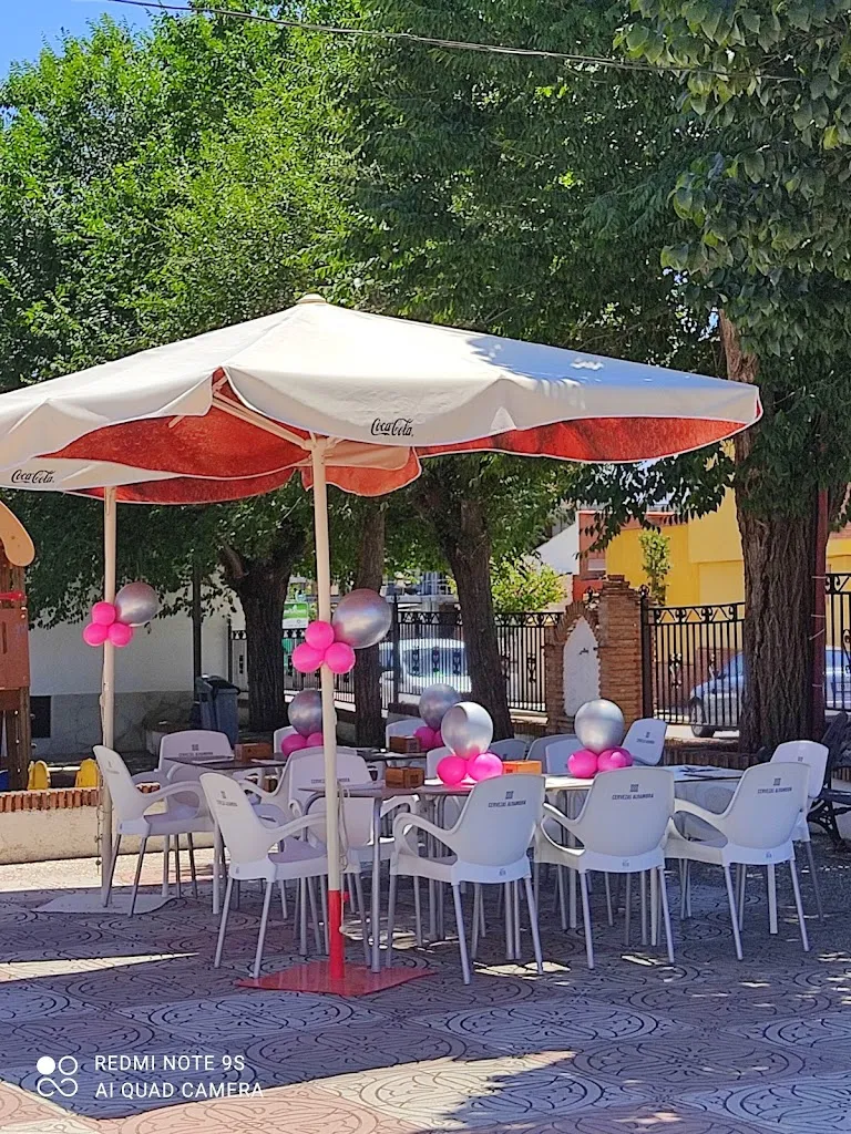 Bar restaurante El Rincón del Tito Paco/ gastrobar Trisquel restaurant in Cúllar Vega