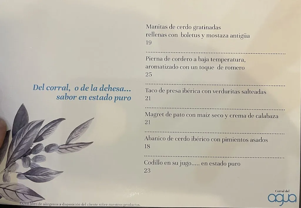 Menu_Restaurante Corral del agua (Granada)_Cúllar Vega_image_1