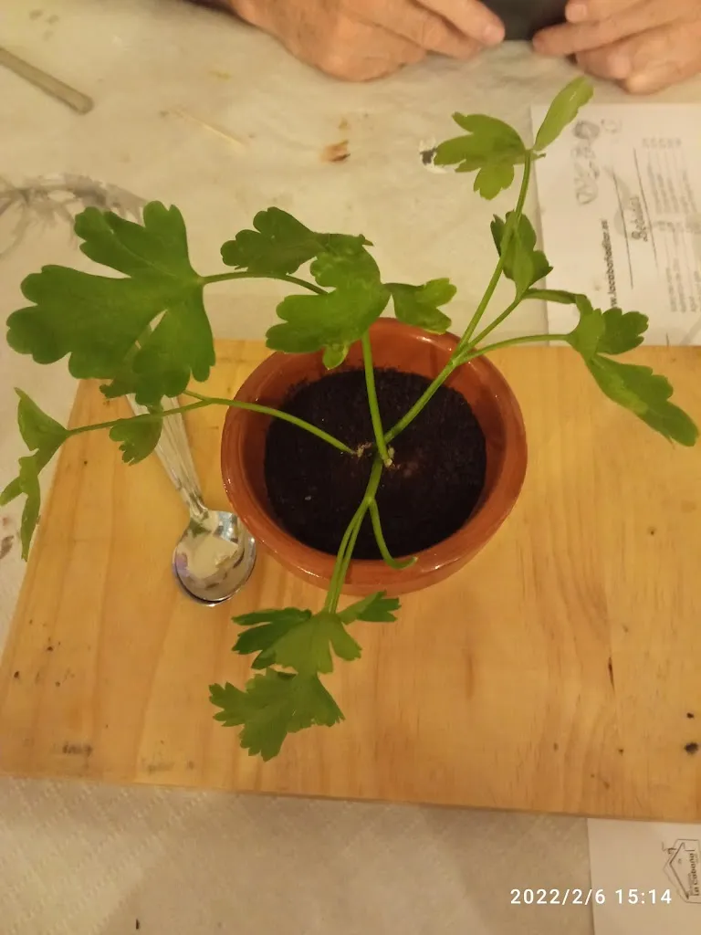 Menu_Brasería La Cabaña de Dílar_Dílar_immagine_6