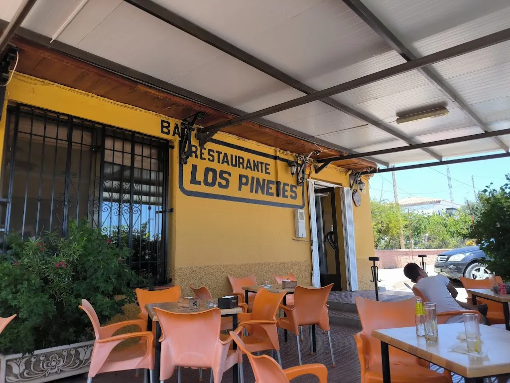 Rey Navarro_Los Pinetes_Cúllar_Bewertung