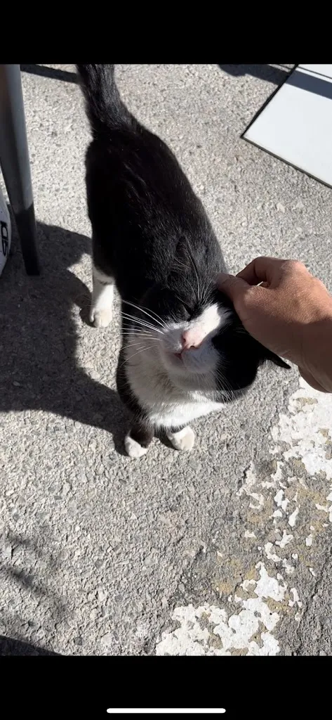 Luka Furjan_Bar- Restaurante El Olivo_Guajares Los_review