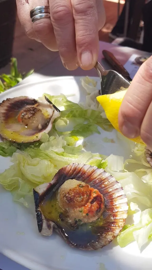 RESTAURANTE MESÓN LA BODEGUILLA_Gójar_slider_image_2