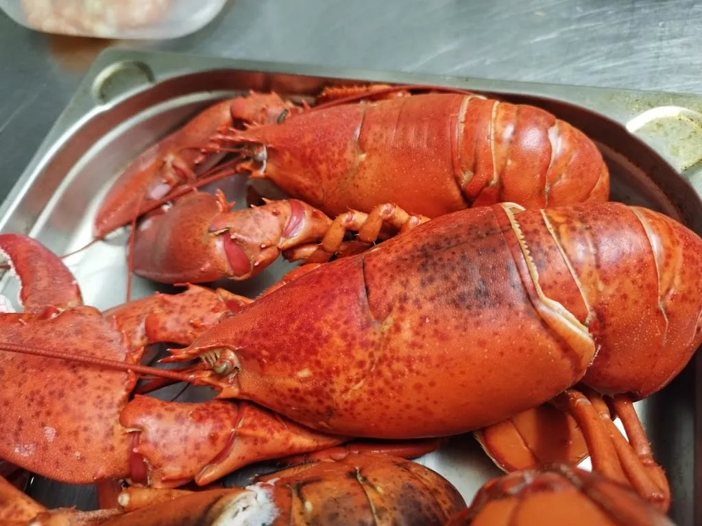 Menu_La Gela_Beneixama_image_4