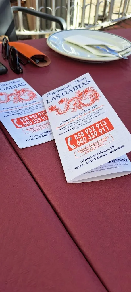 Susana Bernal_Restaurante dragon_Gabias Las_review