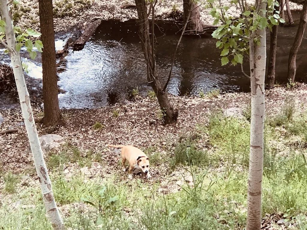 Jose Francisco Gonzalez Perez_Los Castaňos chiringuito_Huéneja_review