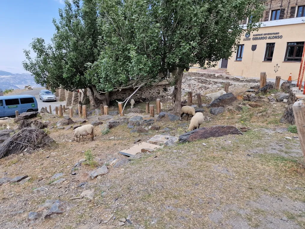 abdul monnan_Restaurante Maitena_Güejar Sierra_review