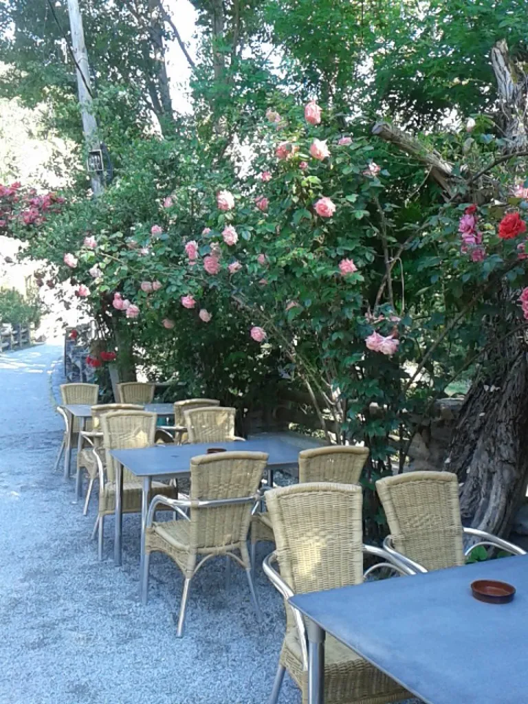 Restaurante Maitena_Güejar Sierra_slider_image_1