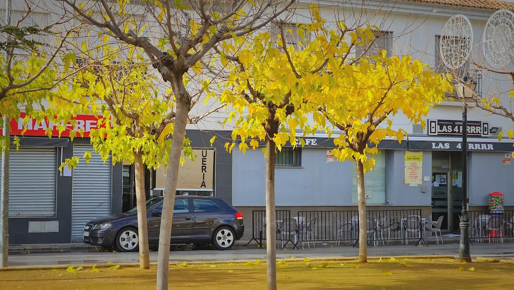 Peter Scargill_Café Bar Las 4RRRR_Huéscar_recensione