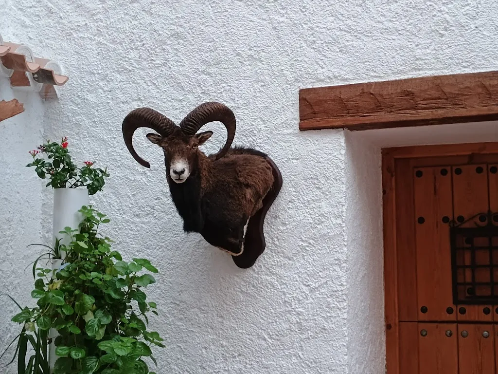 Jose Antonio_Bar El Barrio, Huescar_Huéscar_review