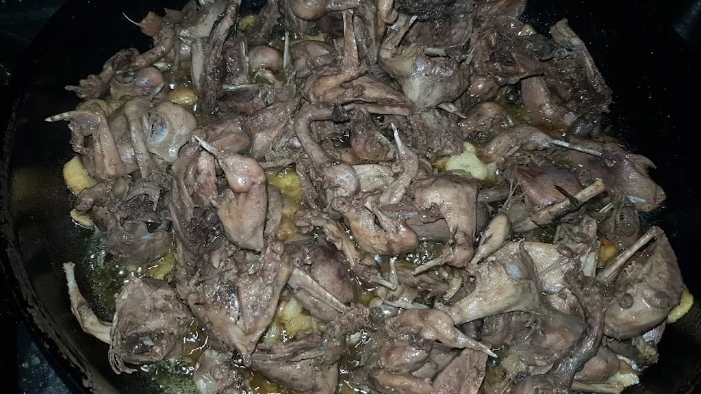 Bar Nono_Illora_slider_image_2