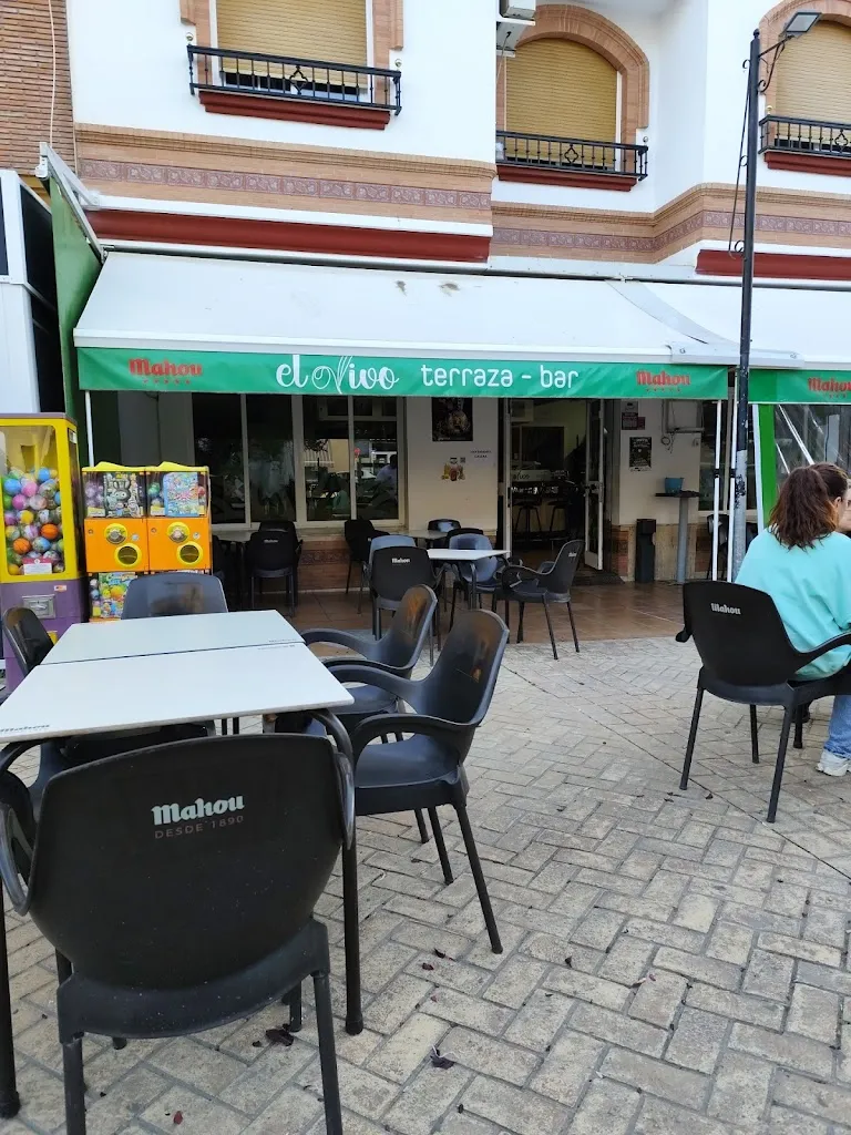Terraza El Olivo restaurant in Huétor Tájar