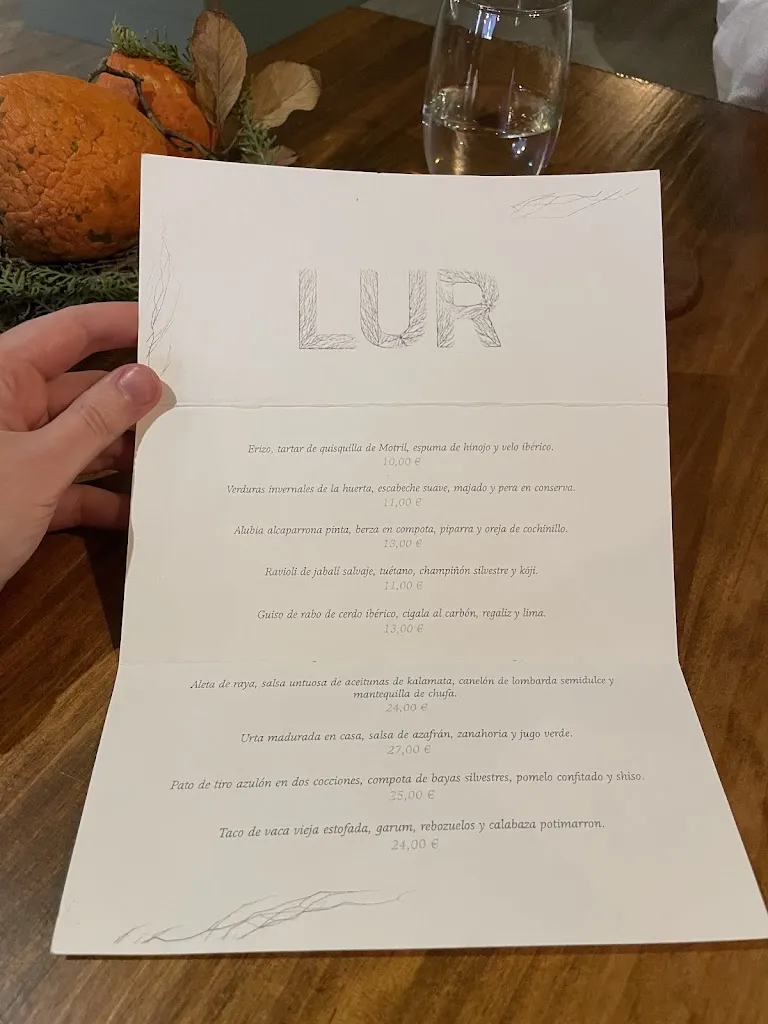 Oleksandr L_Restaurante LUR_Lobras_review
