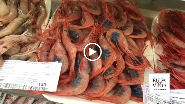 Restaurante Ruta del Vino_Huétor Vega_slider_image_2