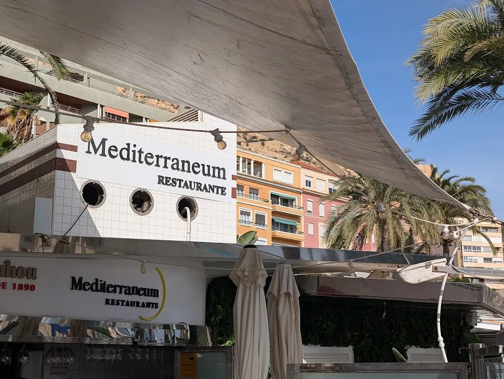 Restaurante Mediterraneum - Alicante restaurant in Alicante/Alacant