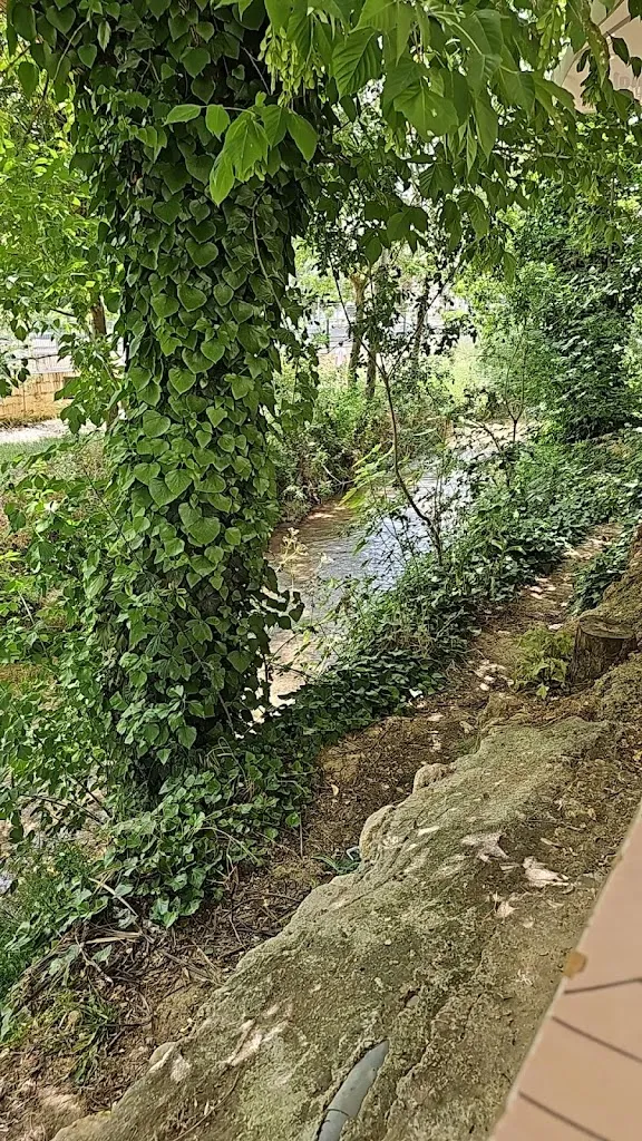 Ramon Villarreal_Restaurante Paco Rama_Loja_review