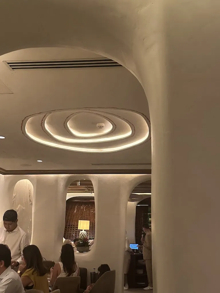 Fahima Al Saidi_Aarde_Loja_review