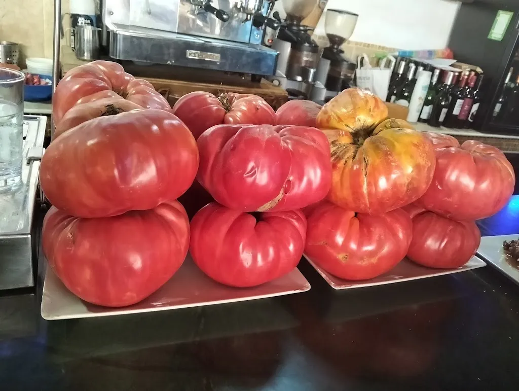 Ricardo Barbero_Restaurante el santo_Malahá La_review