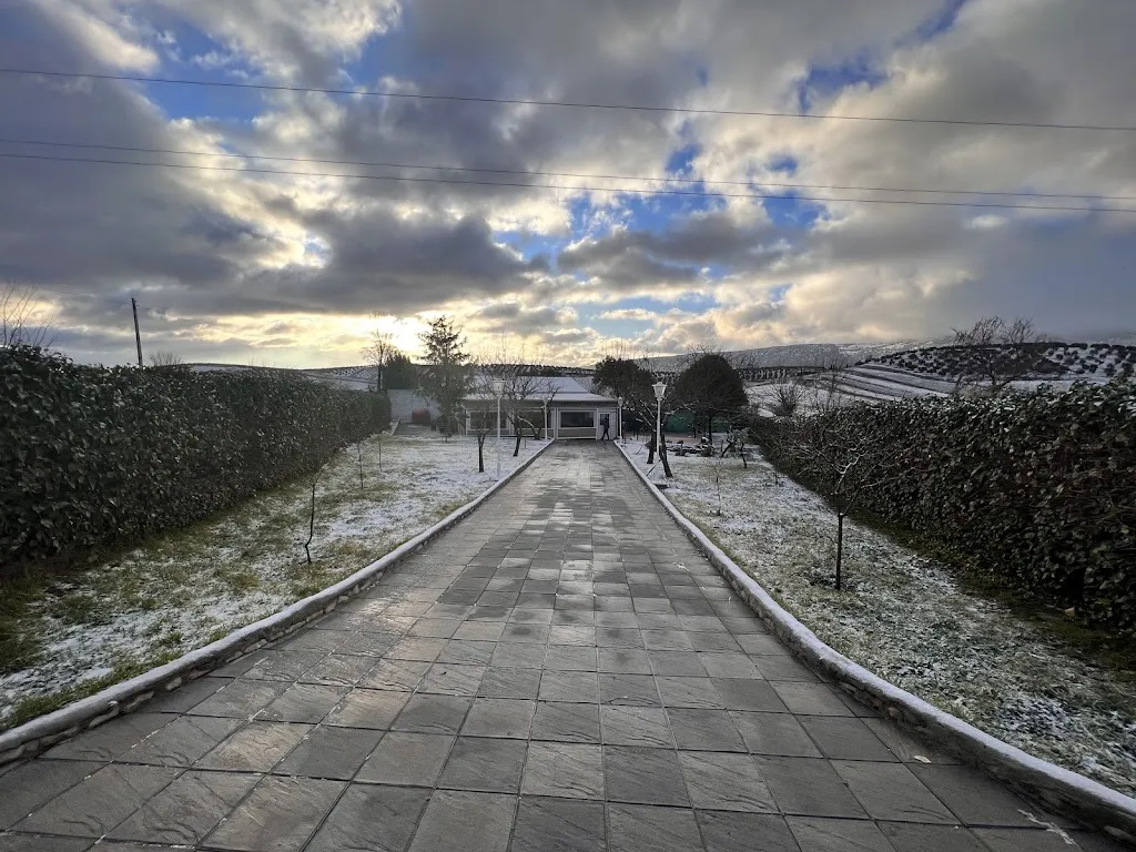 Terraza La Cerca_Morelábor_slider_image_2