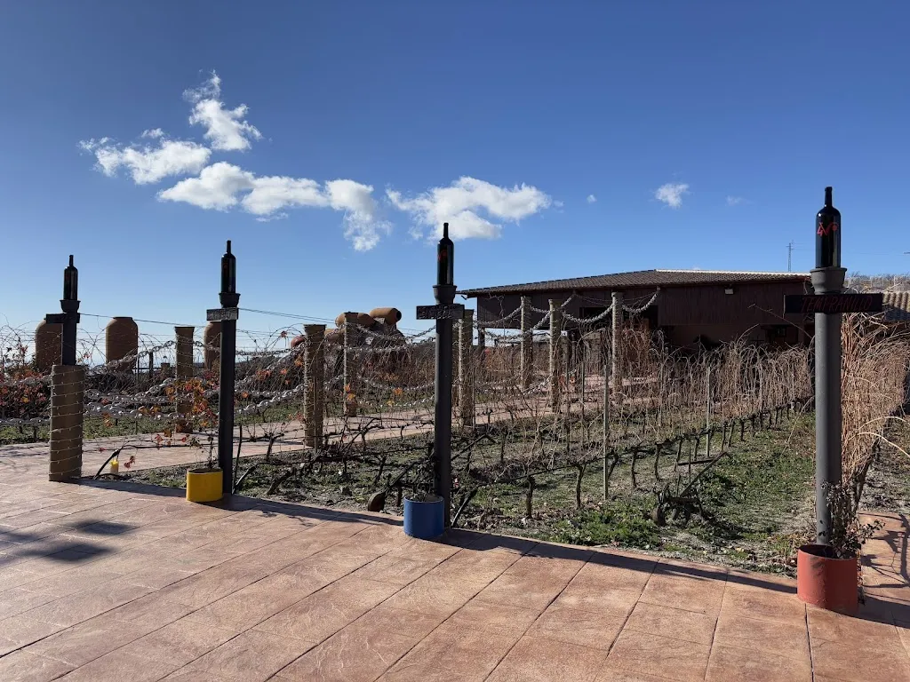 blossom_Finca Cuatro Vientos_Murtas_review