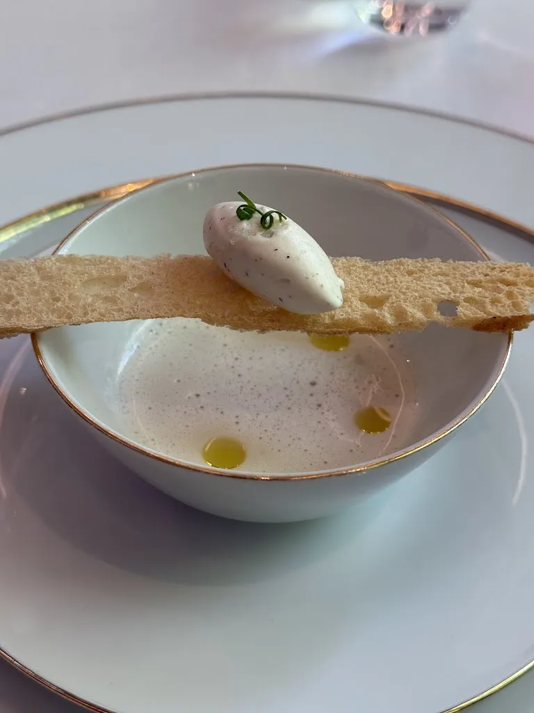 Cristobal Daly_Saddle Madrid_Nevada_review