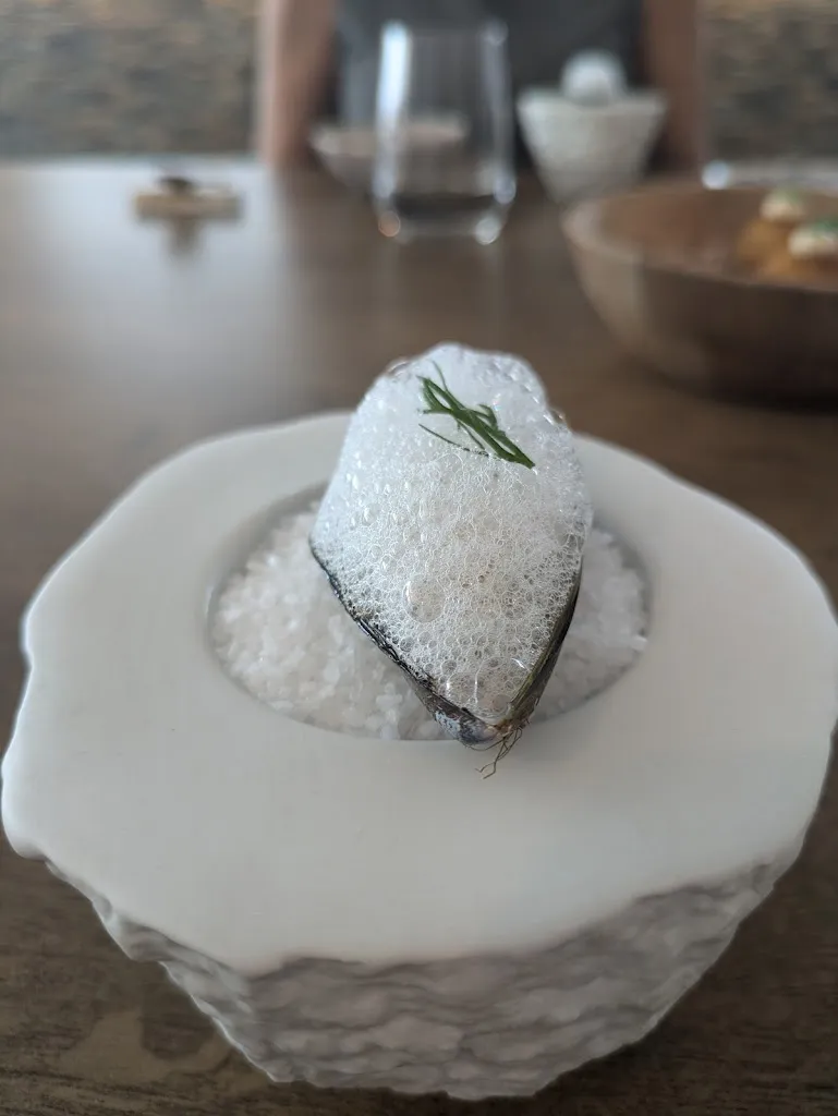 Ran tellem_Espacio IME_Motril_review