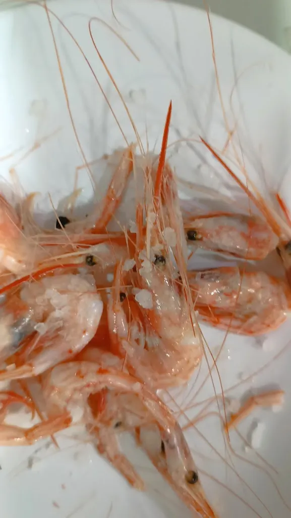 Antonio R_Bar El Paso_Motril_review