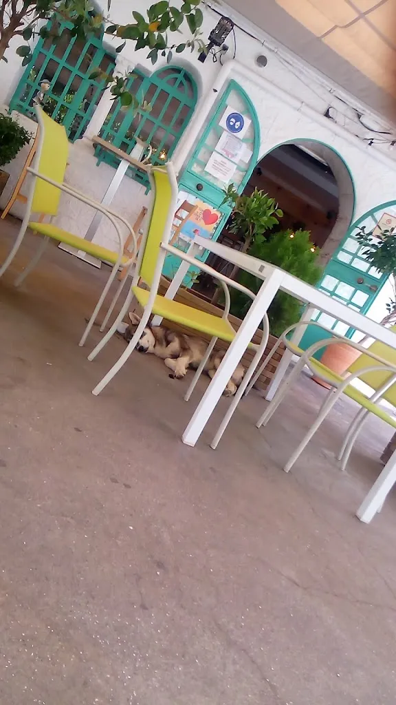 Niko Pohjasto_La Vida es Chula_Otura_review