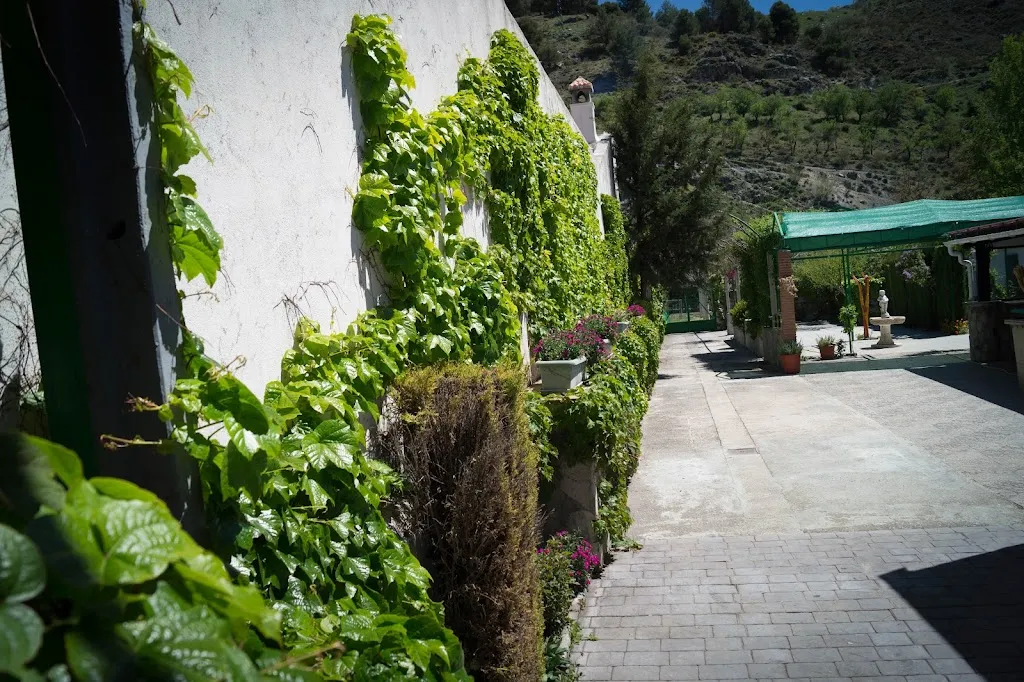 Terraza de Verano Central II_Peza La_slider_image_3