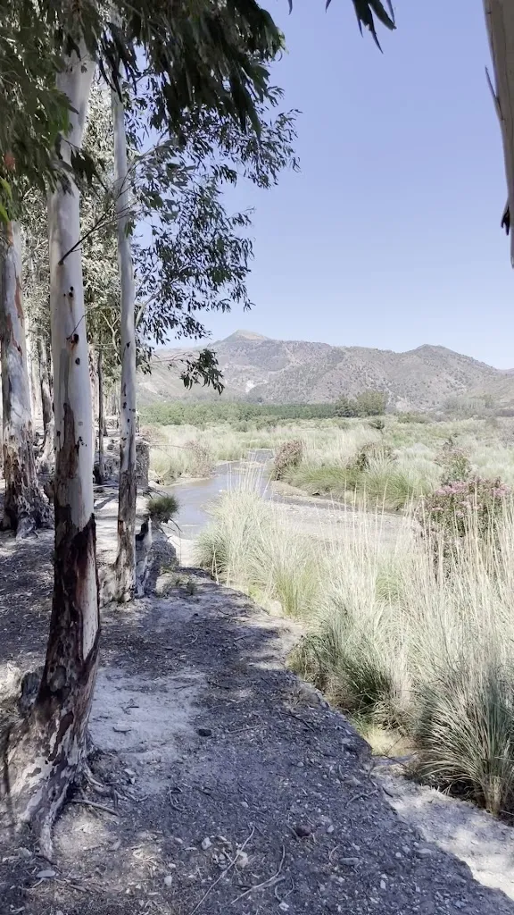 Cynthia de Wolf_Venta El Puente_Órgiva_review