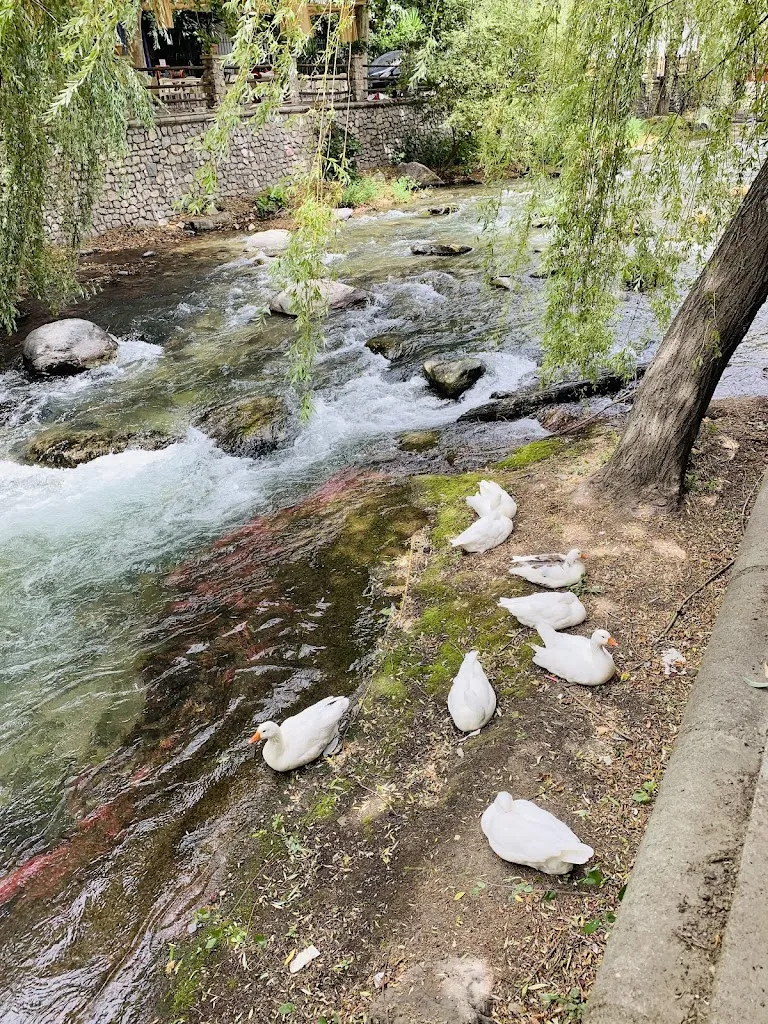 Doris L_La Taberna Del Turrón_Pinos Genil_review