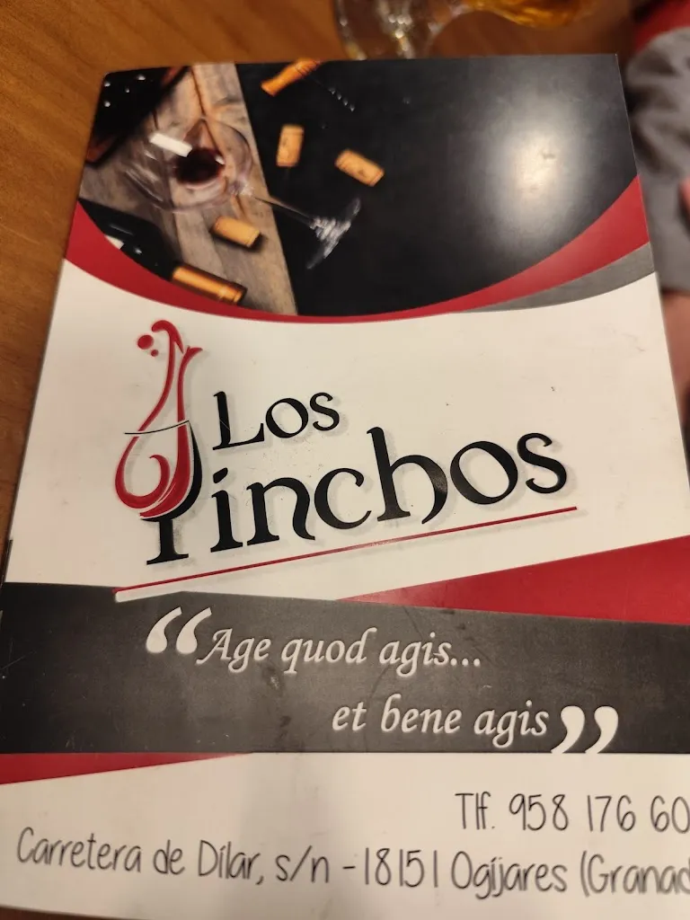 Concepcion Ortiz_Bar Los Pinchos_Ogíjares_review