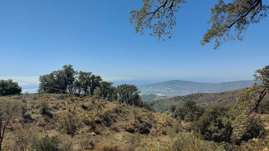 Restaurante & Bodega Haza del Lino_Polopos_slider_image_3