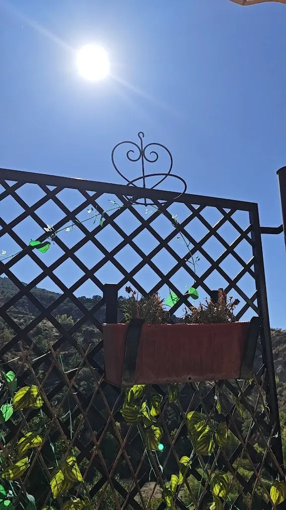 Cafe Bar Los Angeles_Quéntar_slider_image_2