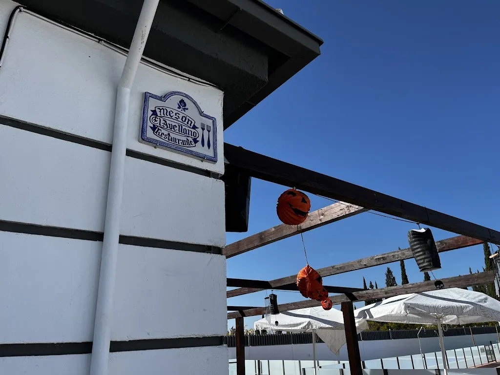 La Oveja Negra Bar & Pool_Pinos Puente_slider_image_1