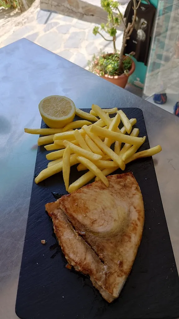 El gato galáctico_Soportújar_slider_image_3