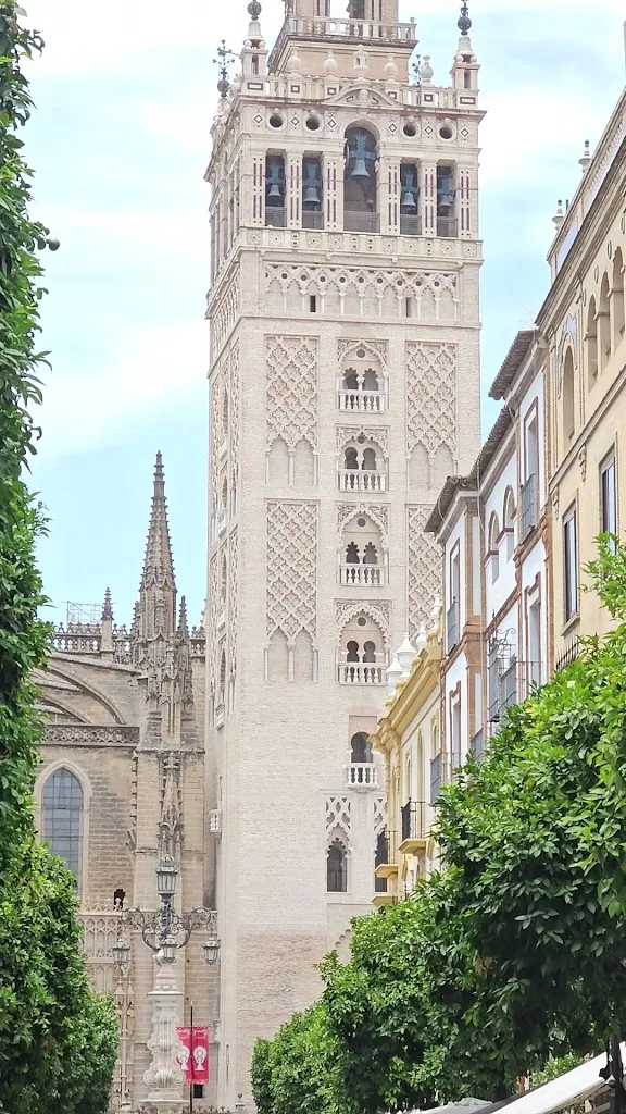 Ridvan Cakir _Café Santacruz - tapas bar_Santa Cruz del Comercio_review