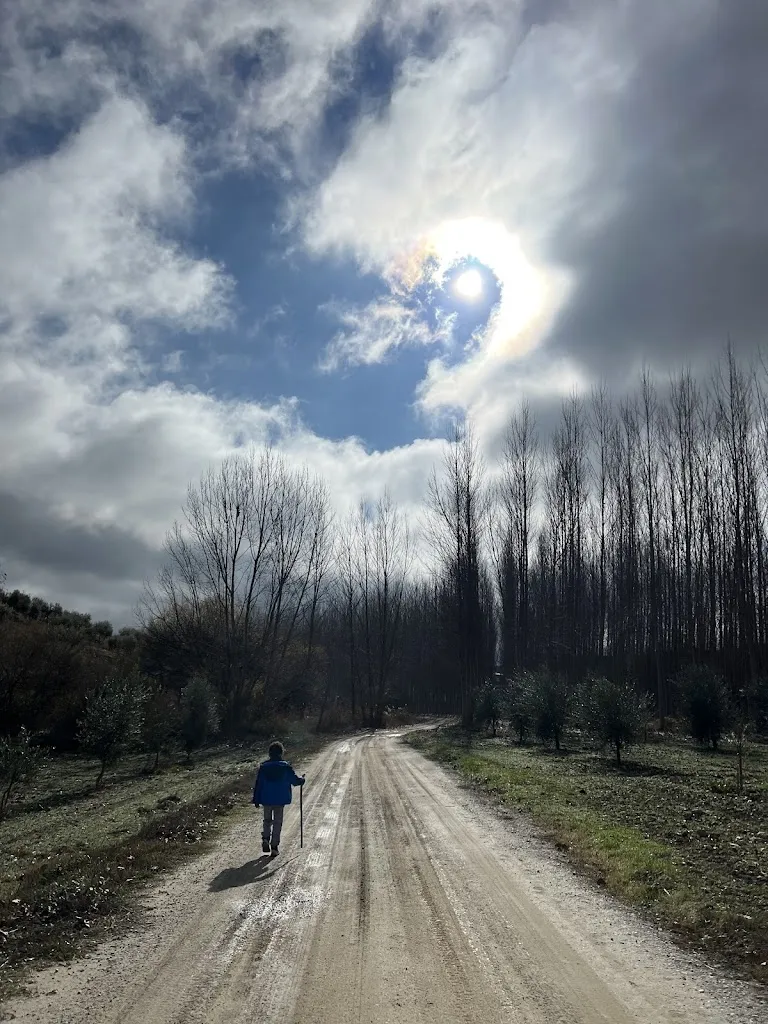 Begoña Sagredo_Cortijo Mirasol_Santa Cruz del Comercio_recensione