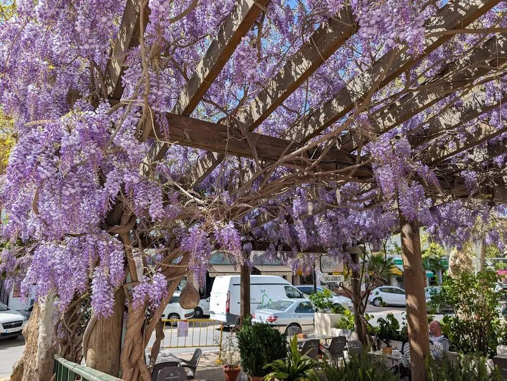 Robert Tyler_Anca Juan y Aurora_Ugíjar_review