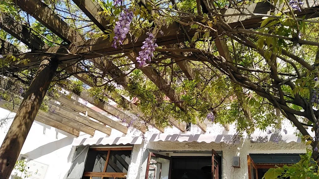 The Heirophant_Anca Juan y Aurora_Ugíjar_review