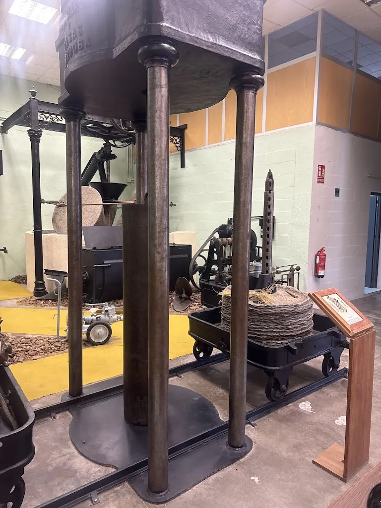 Piotr Miller_Olive oil museum_Vélez de Benaudalla_recensione