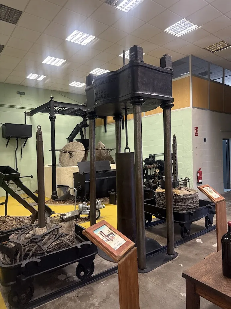 Olive oil museum_Vélez de Benaudalla_slider_image_3