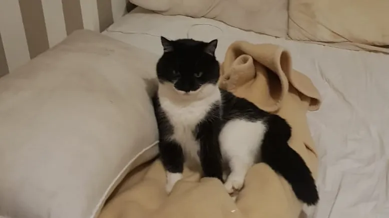 Restaurante Ciro y Lola_Ablanque_slider_image_3