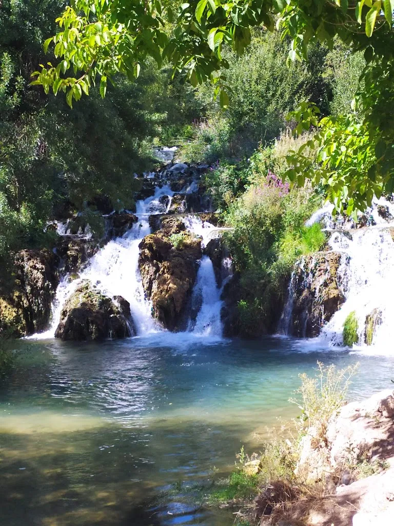 Bar Restaurante Carlos_Algar de Mesa_slider_image_3