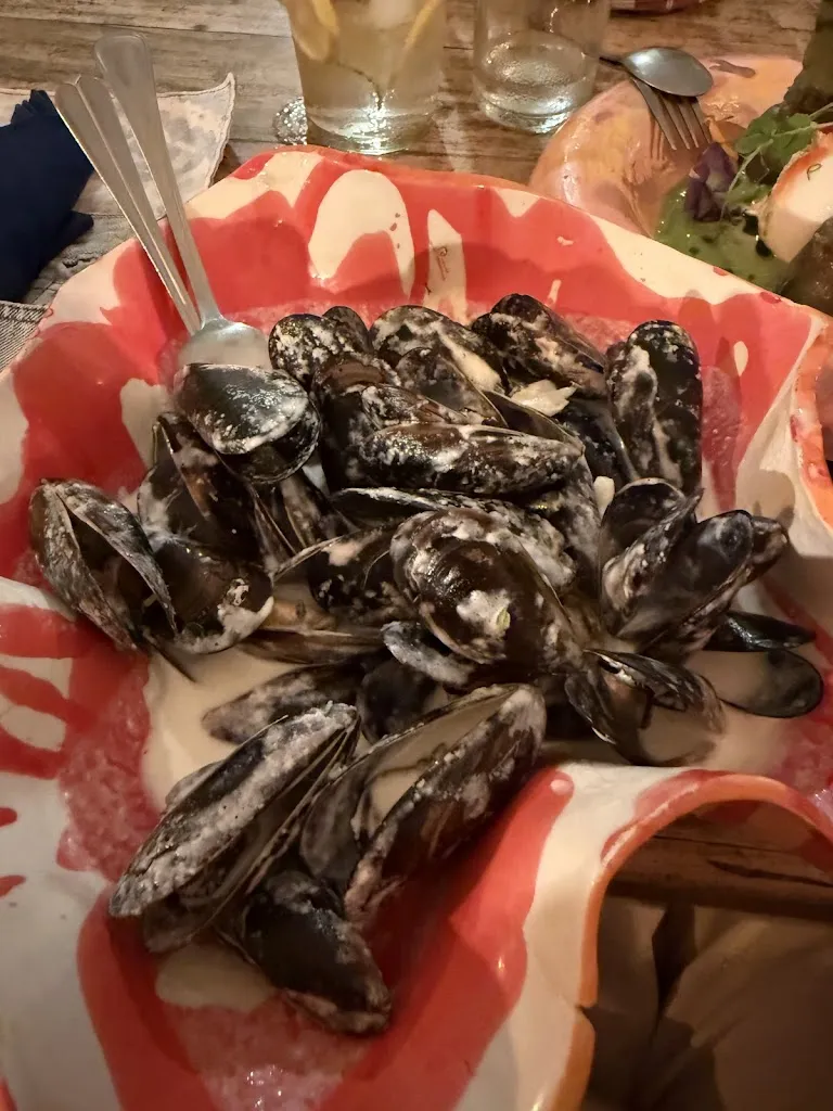 Aviv Shkolnik_Quel Que Quieres_Altea_review