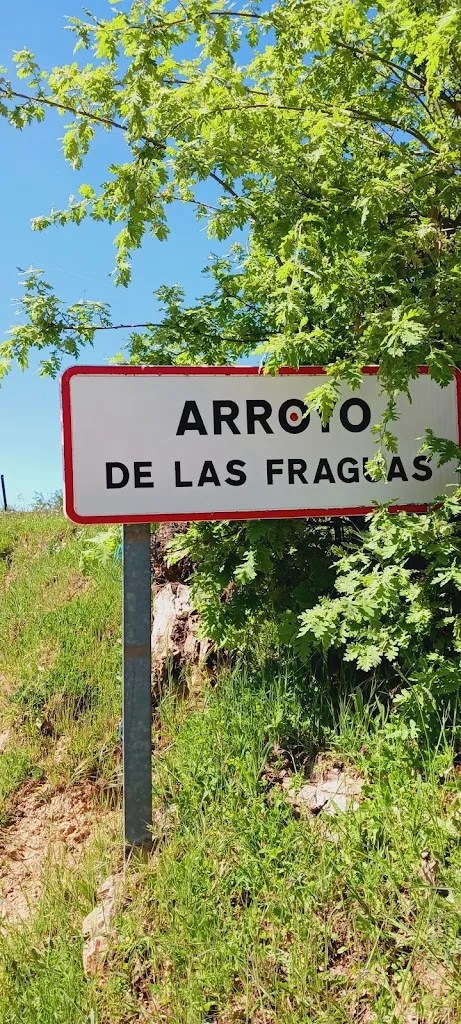 Esther Gonzalez_Alto Rey Turismo Rural. Hostal-Restaurante._Arroyo de las Fraguas_review