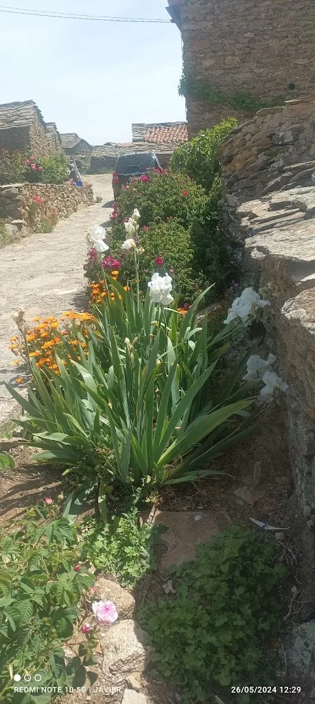 Merendero restaurant in Arroyo de las Fraguas