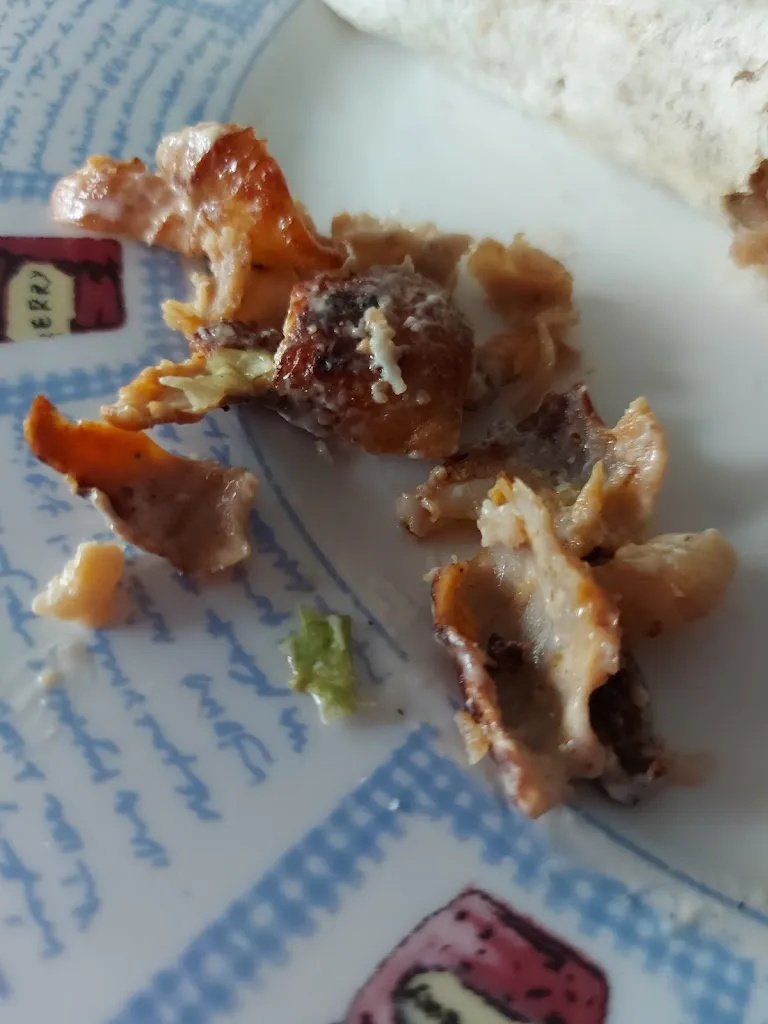 Usue Tm_doner kebab alovera_Alovera_review