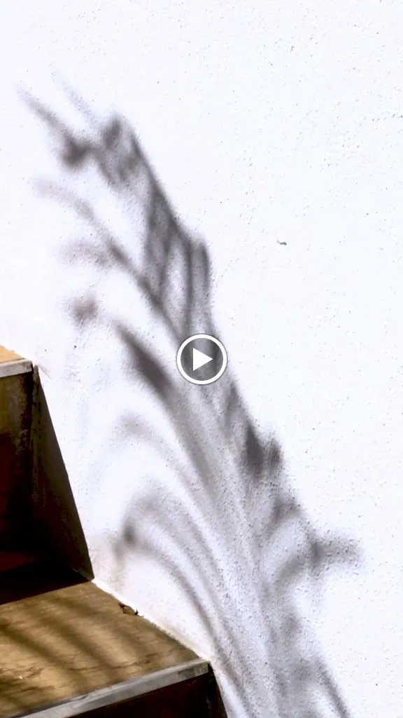 Rumors Altea_Altea_slider_image_2