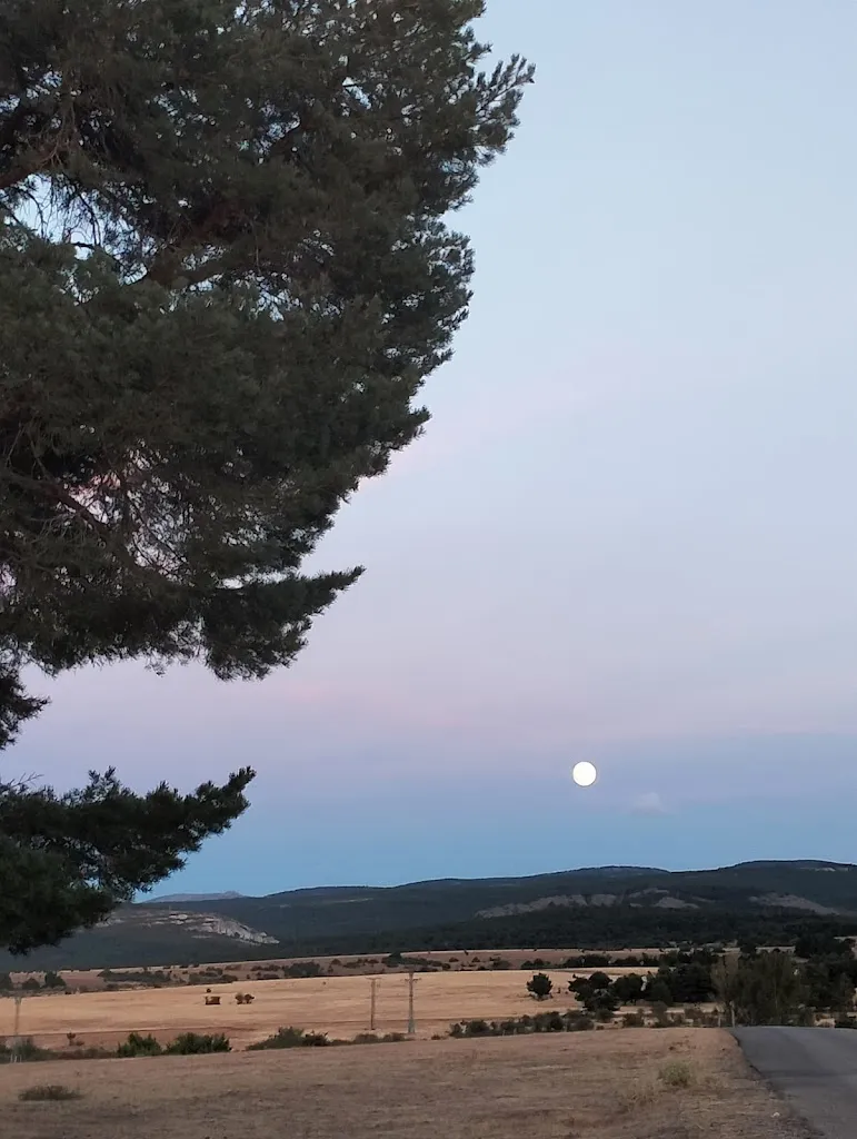 Eva Ramirez_Restaurante Camping los Bonales_Cantalojas_review