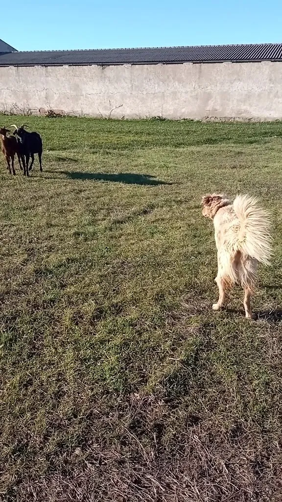 la Canaleja_Casa de Uceda_slider_image_2